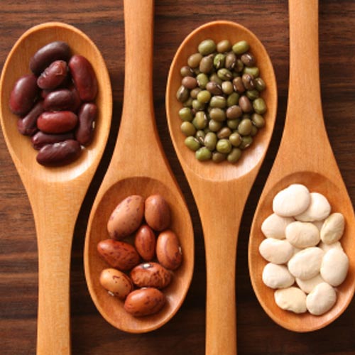 Why Aren't Grains Paleo?