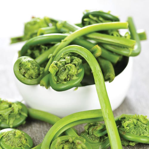 Fiddlehead Pasta Primavera