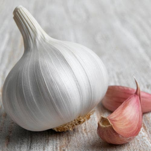 Why Garlic Is Good For You