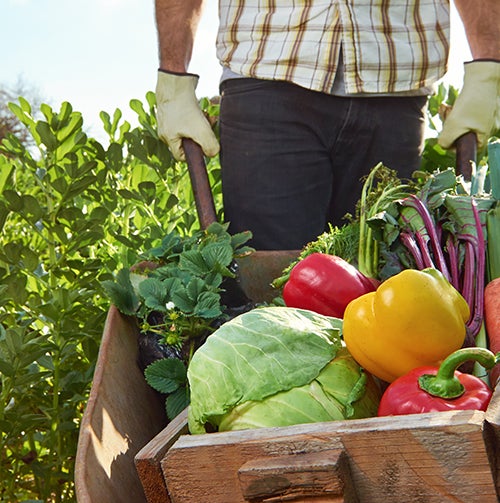 How to choose which fruits and vegetables to buy organic vs. non
