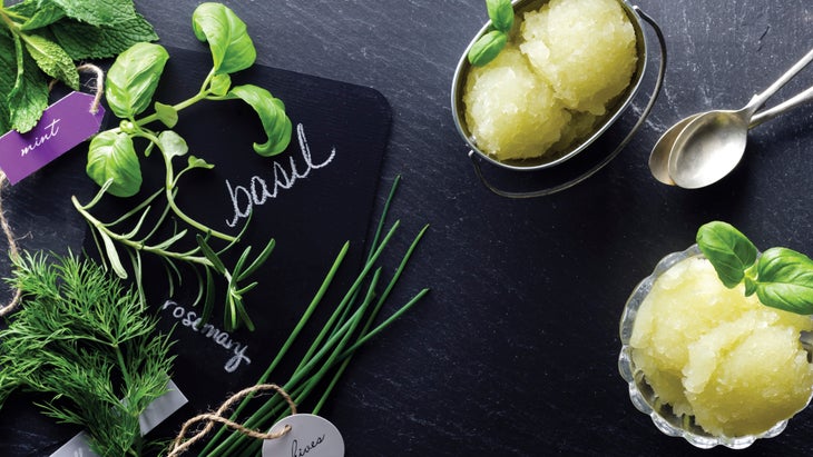 Basil Lime Sorbet Basil Lime Sorbet
