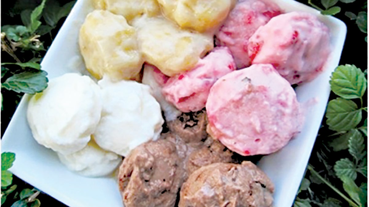 Frozen Yogurt for Dogs Recipe