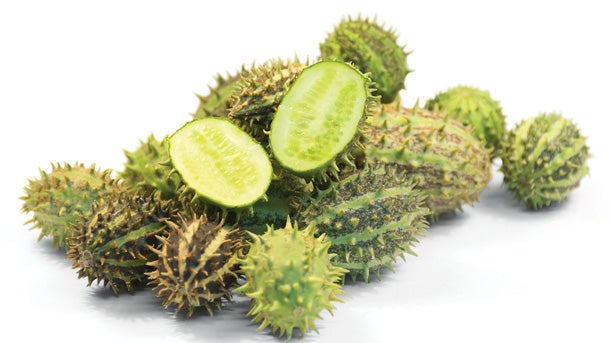 shutterstock_168331121