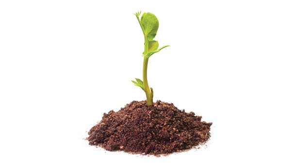 shutterstock_97510484