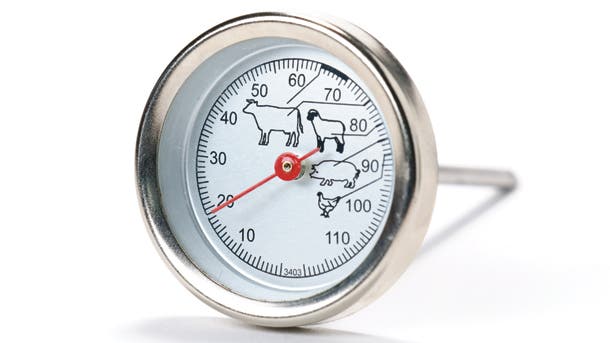 MeatThermometer