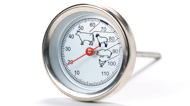 Importance of Food Thermometers & Kitchen Tools