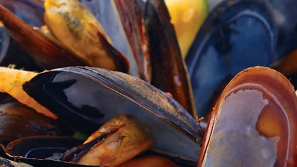 mussels