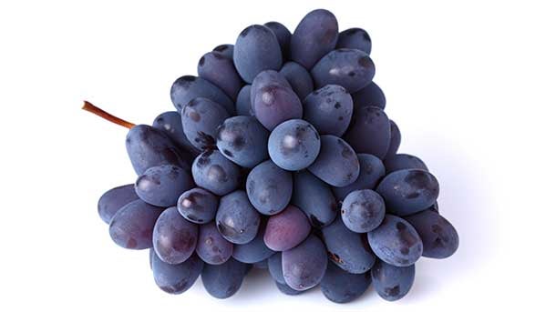 shutterstock_117776305