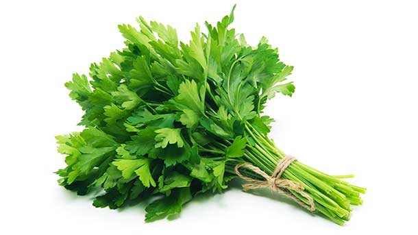 shutterstock_252375532