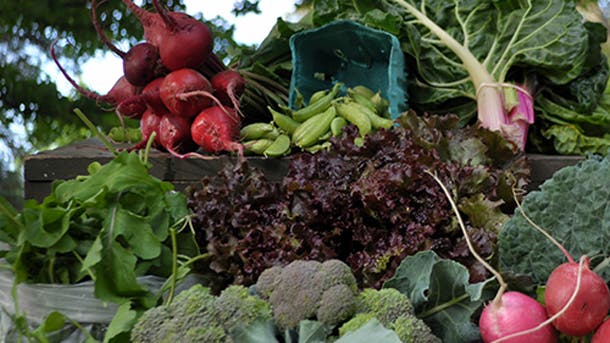 CSA-Share-Bluestem-Farm-Slide-Show