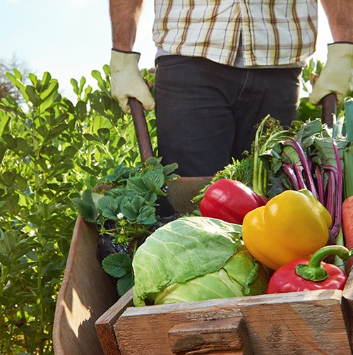 organic-vs.-non-organic seasonal and local food