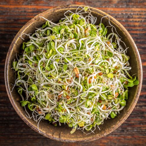 Are Sprouts Linked to E. Coli? Ask the Dietitians