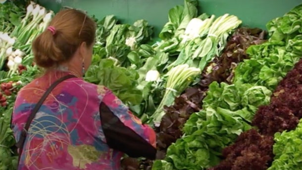 Food Matters