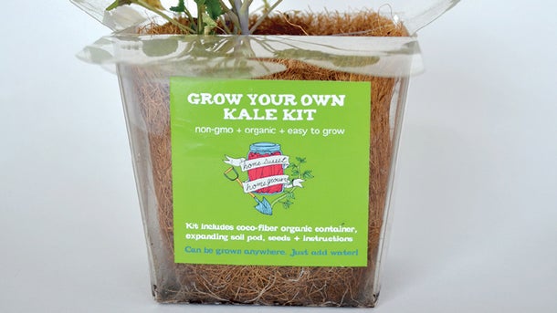 Mini Greenhouses