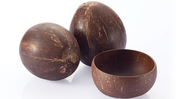 Nature's Bowl