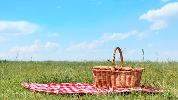 picnic-basket-on-grass