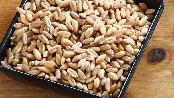Farro610x343