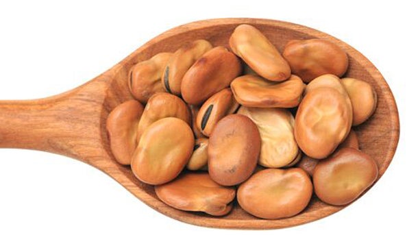 Favabeans610x343