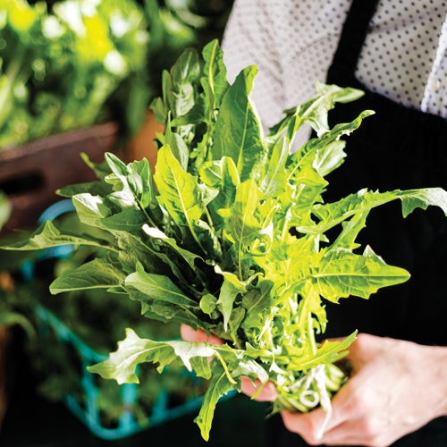 Why Adding More Copper To Your Diet Will Burn Fat