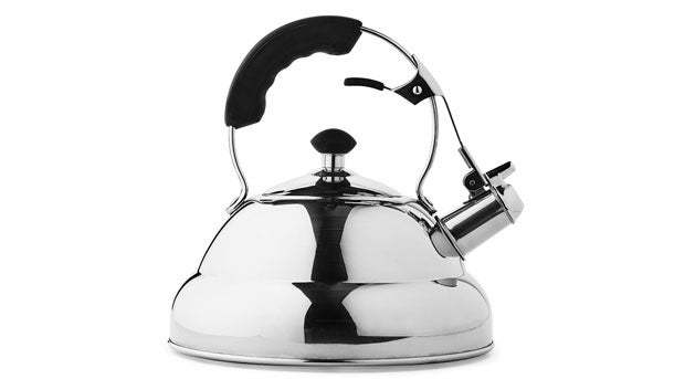 Fino Narrow Spout Tea Kettle, 34oz