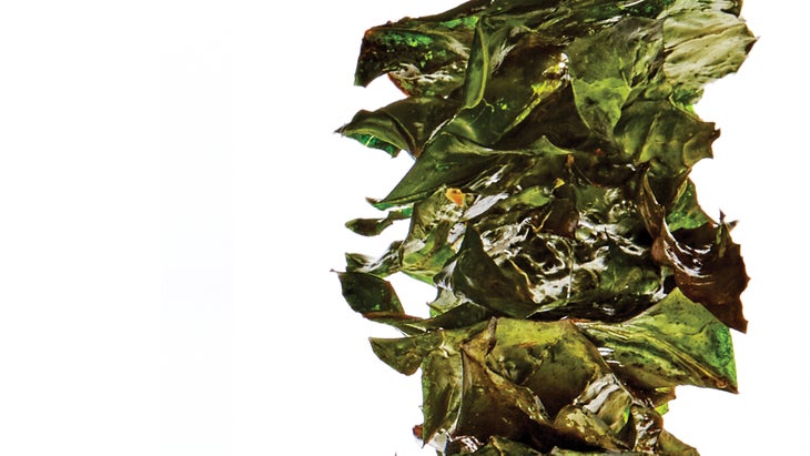 Gochugaru Collard Chips