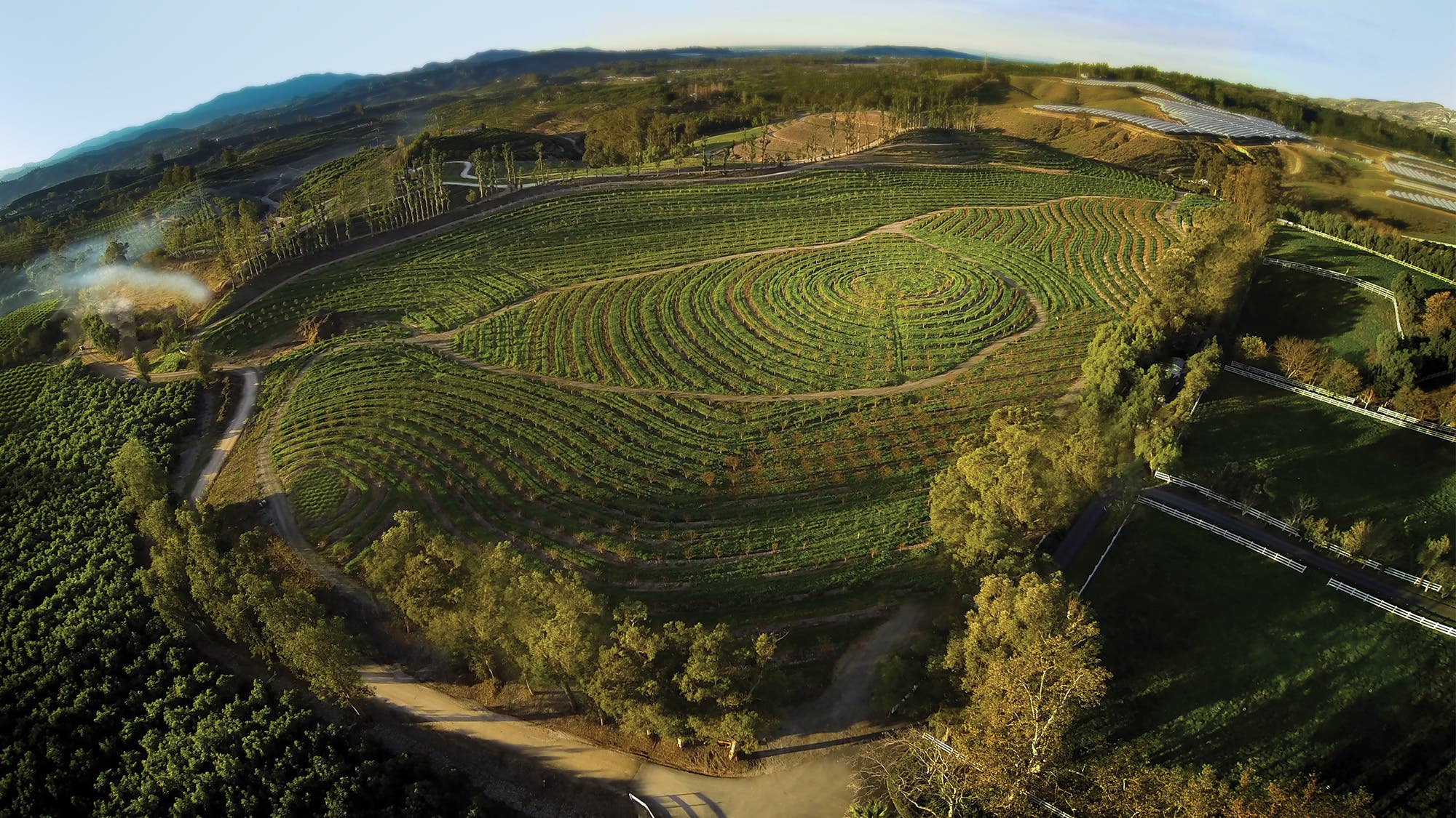 Is Biodynamic the New Organic? Is Biodynamic the New Organic?