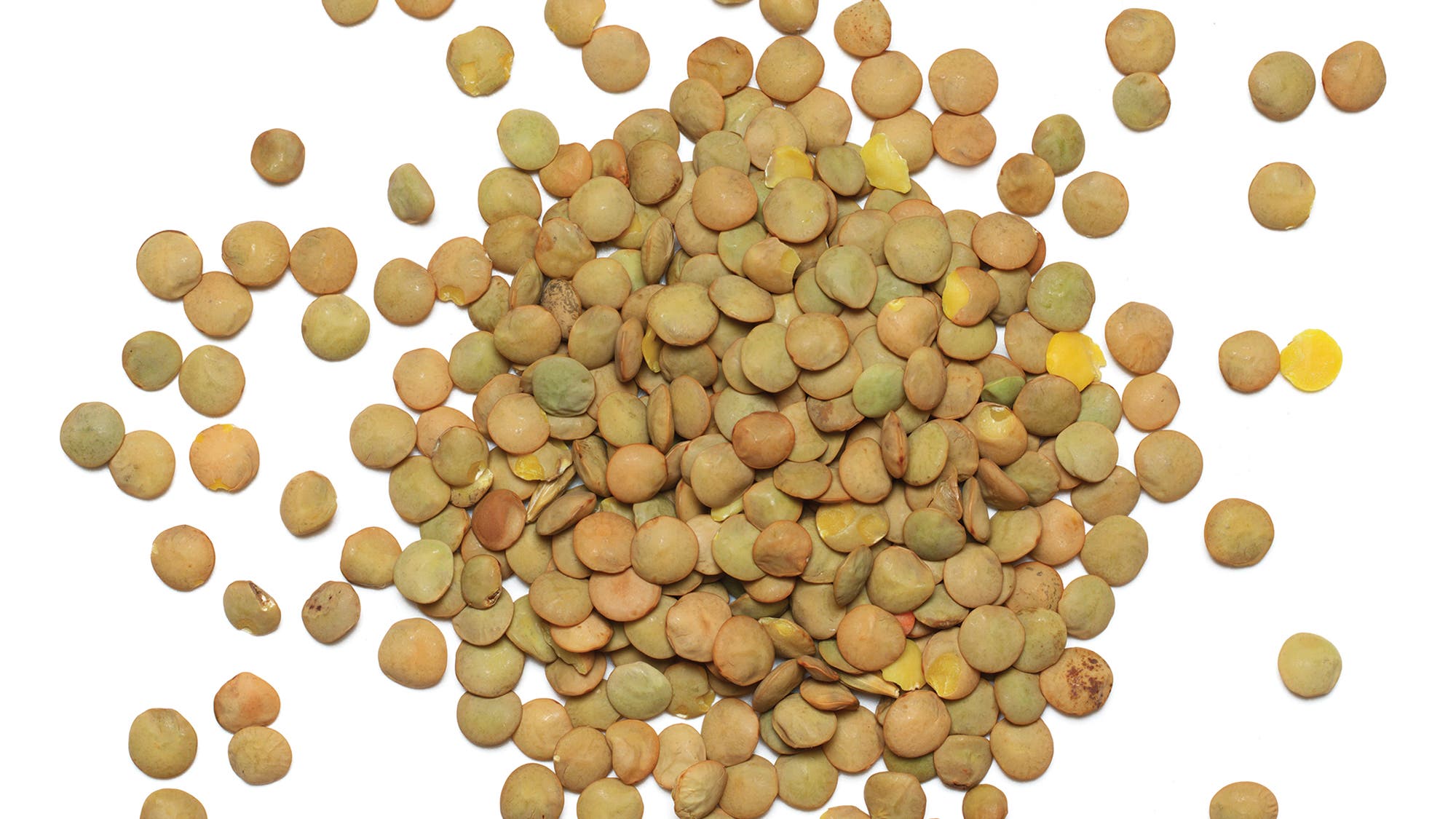 KATE_Lentils_Svetlana Lukienko 69 web None