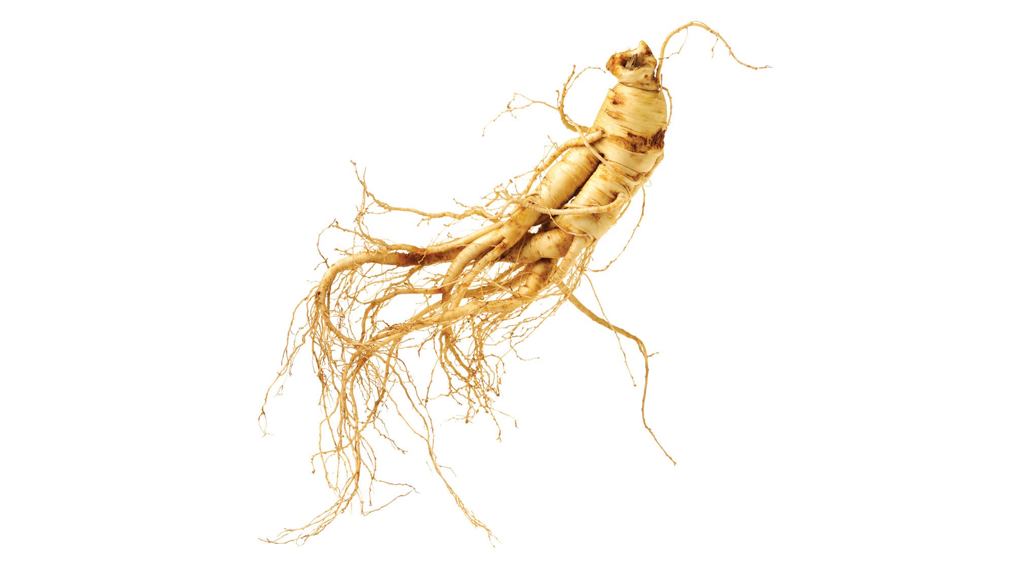 Food-Trends_ginseng-75-web Ginseng