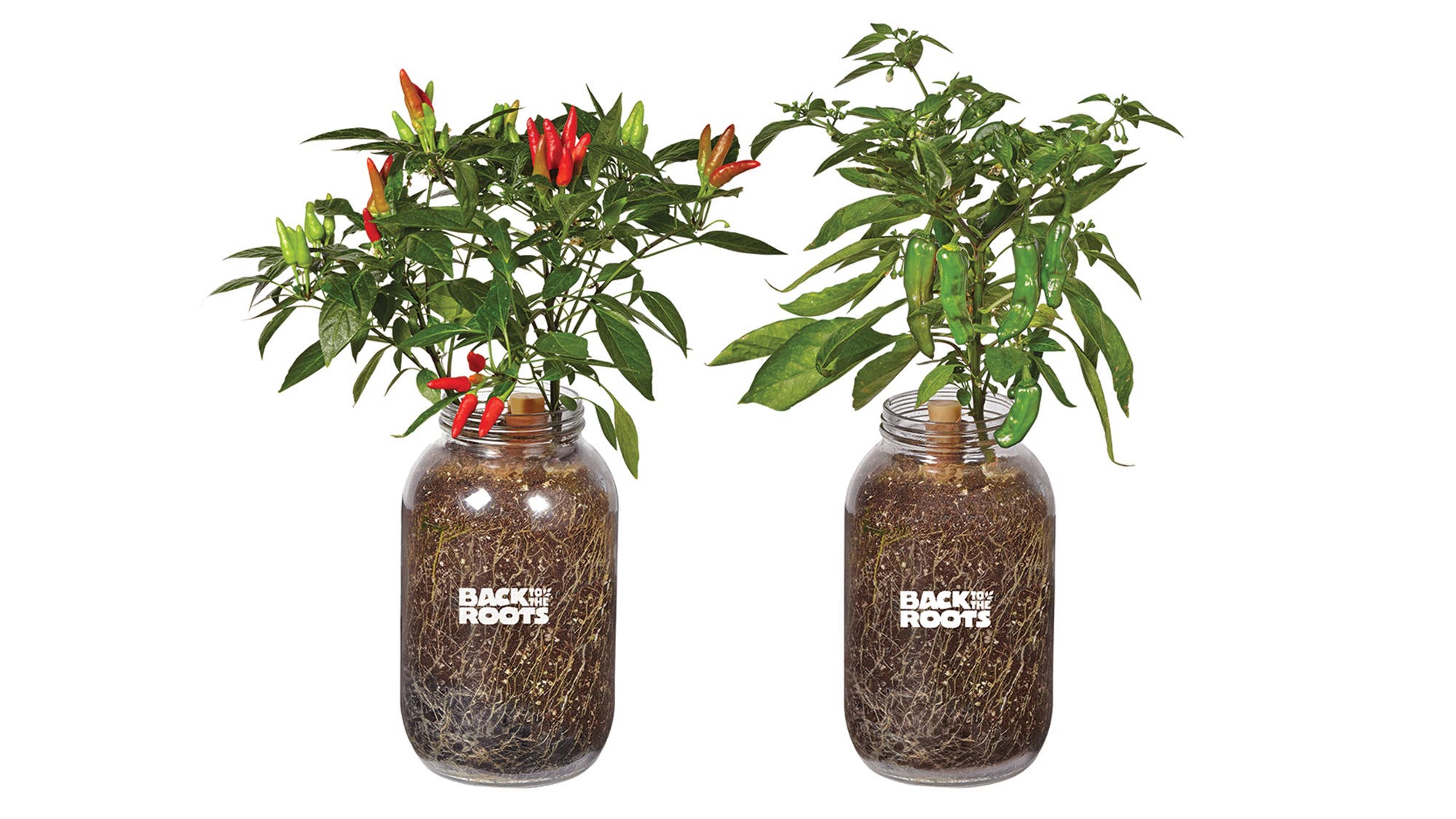 The Organic Self-Watering Planter Pepper 2-Pack