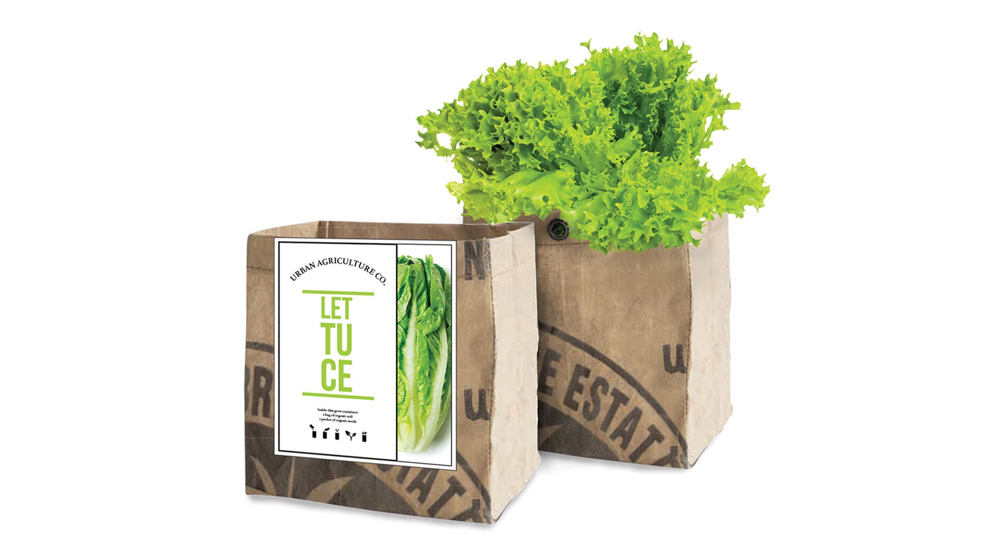 Urban Agriculture Lettuce Kit