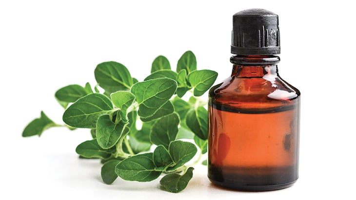 Oregano-oil Oregano oil