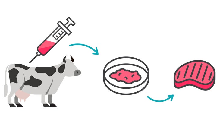 Is It Time To Embrace Lab Grown Meat