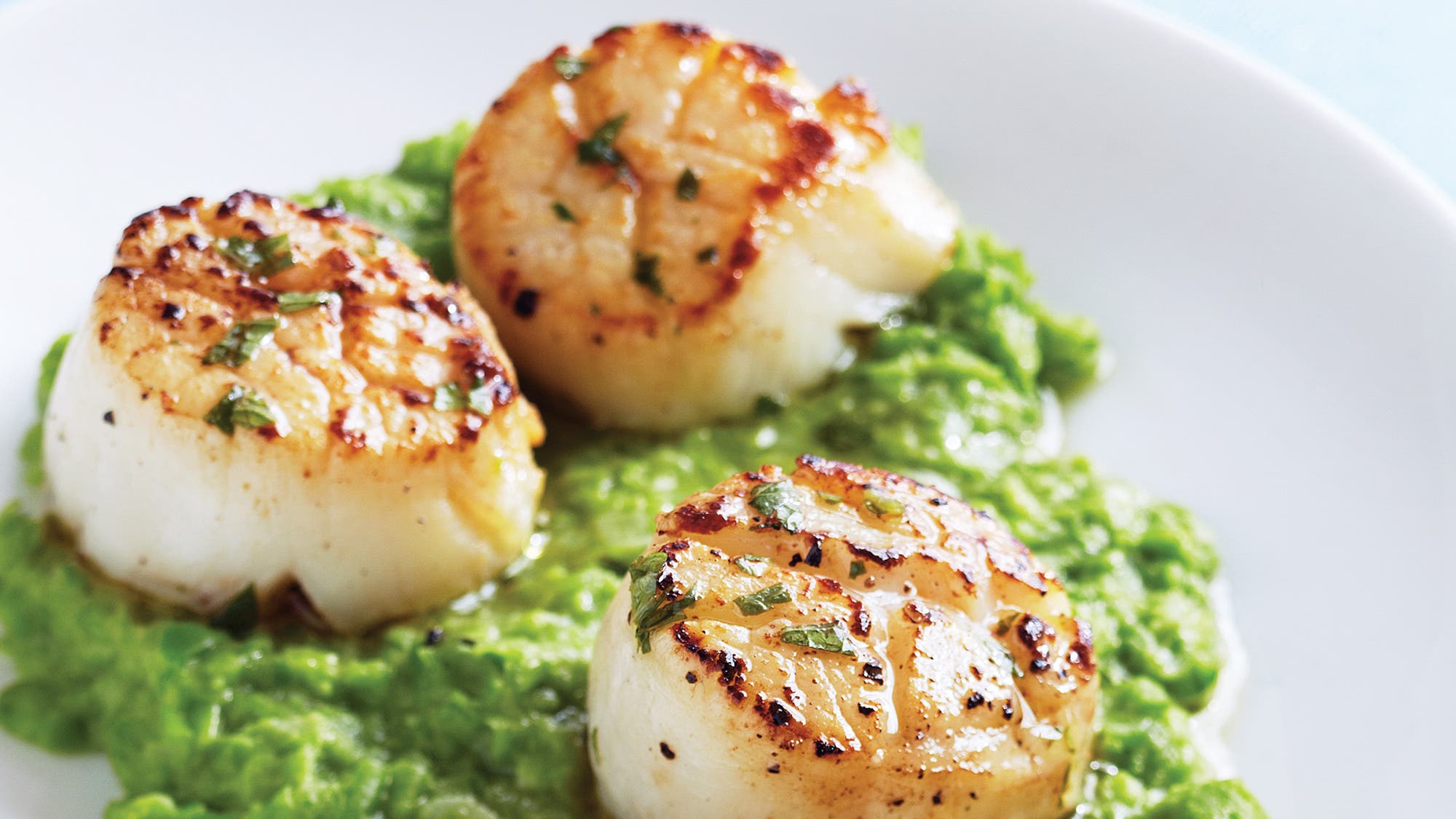 Seared Scallops with Mint Vinaigrette & Green Pea Puree recipe