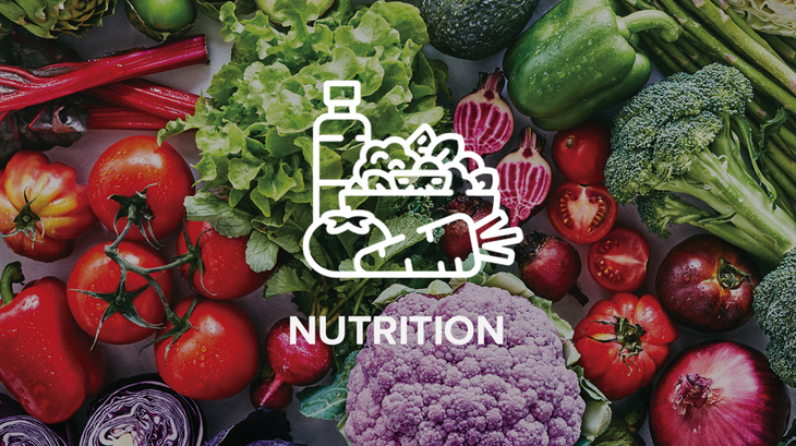 TitleCard_Nutrition None