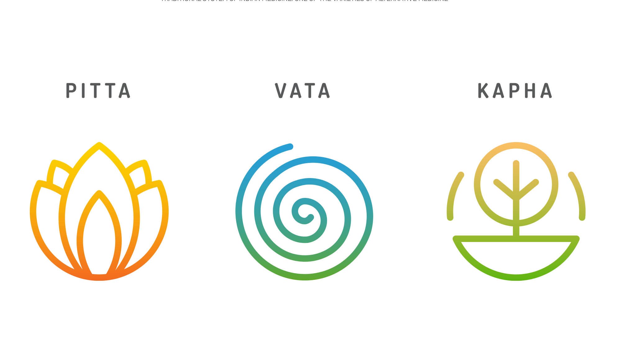 4 Popular Ayurvedic Herbs | Find Your Dosha