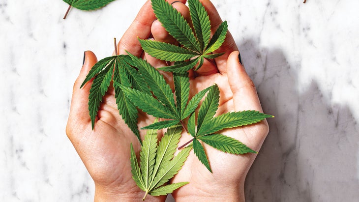 What is CBD and How do you use it?