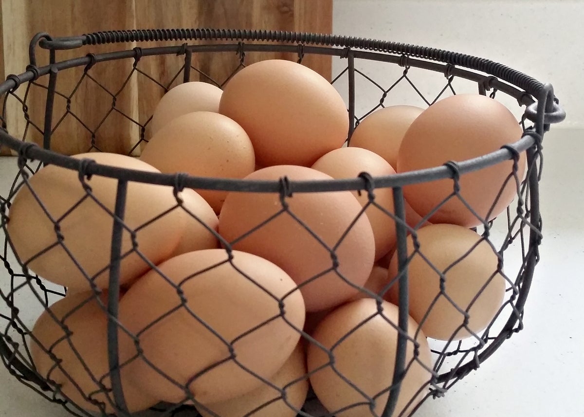 Best Egg Baskets