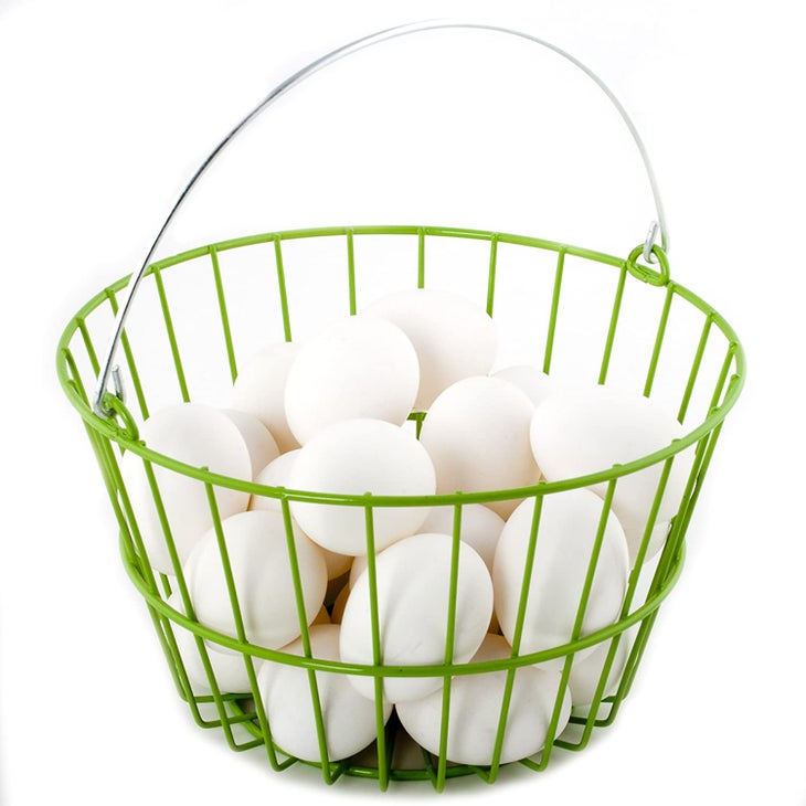 Egg Collecting Basket - Shop online and save up to 8%, UK