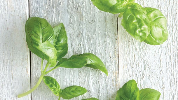 CLEAN-EATING-4.27.1524036-basil Basil