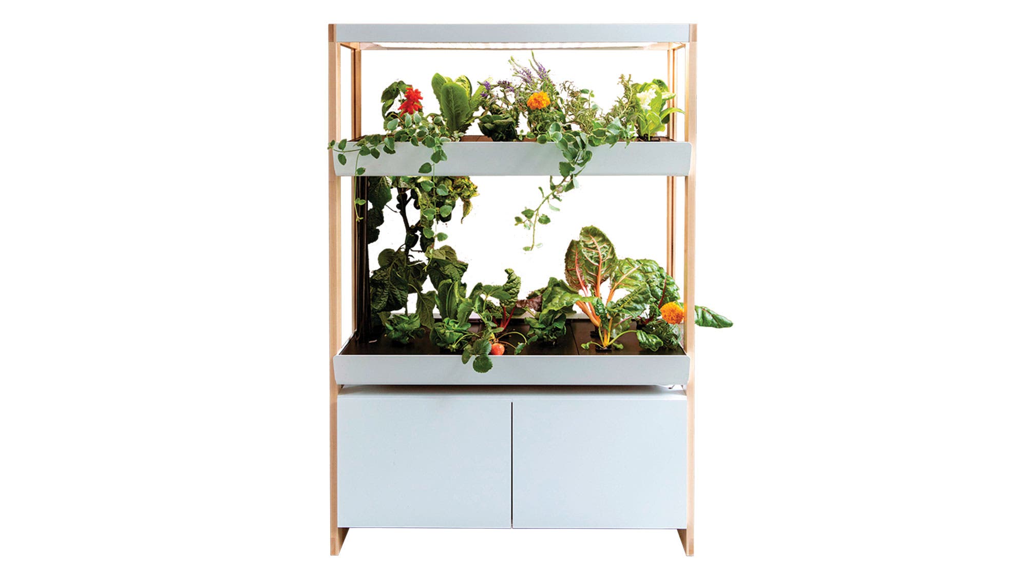 GIFT-GUIDE-Rise-Gardens_95-web None