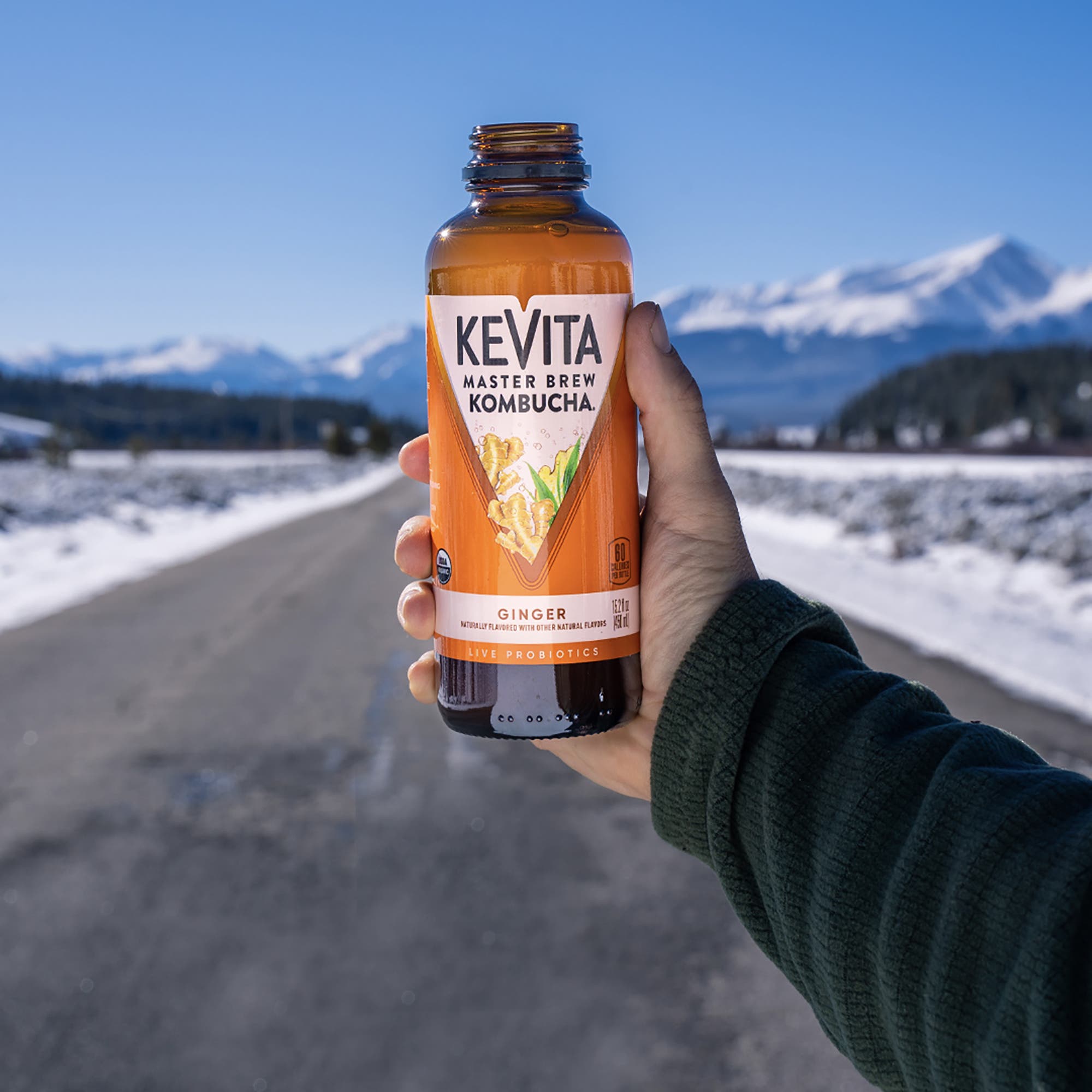 KeVita Master Brew Kombucha