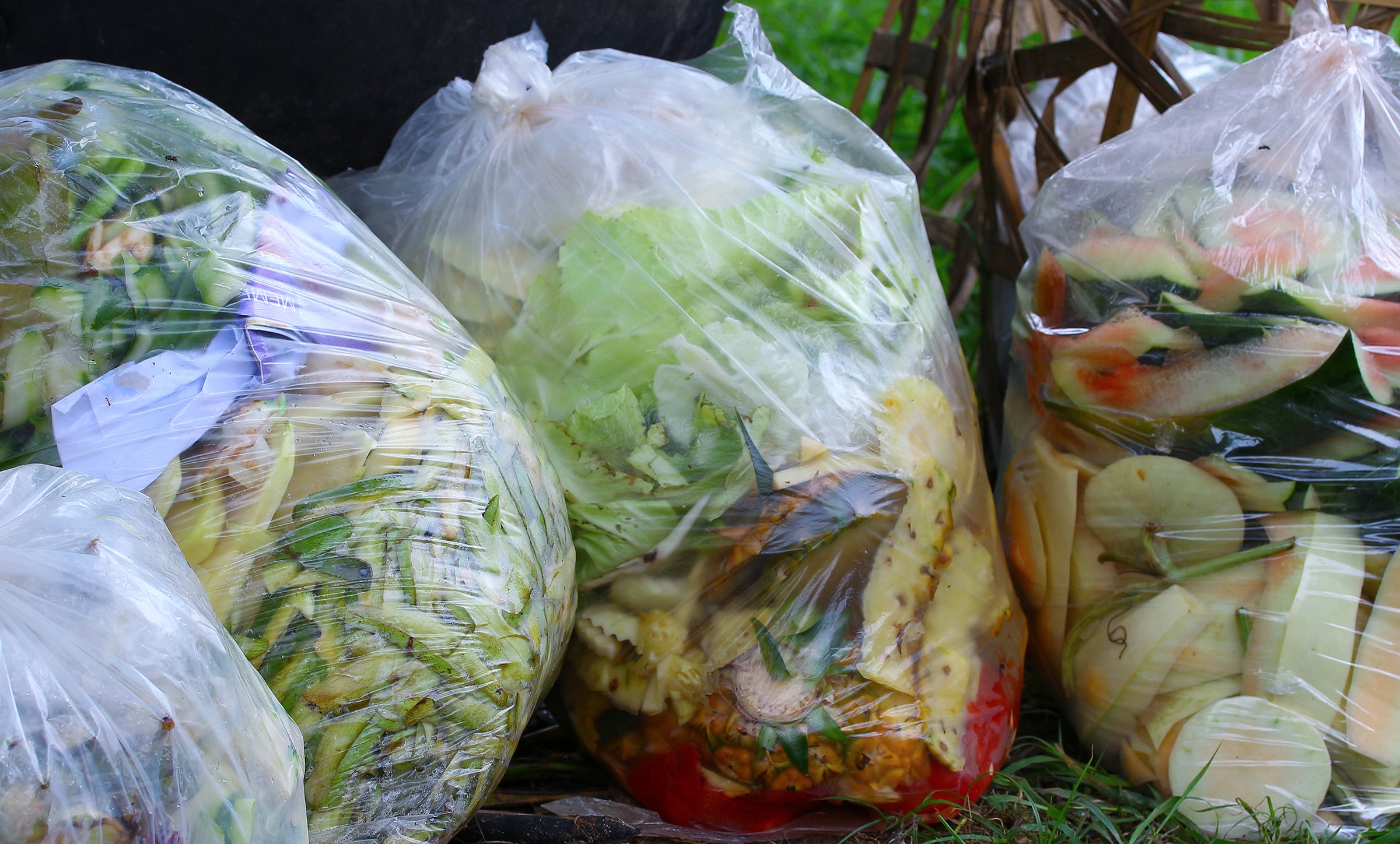 Plastic bags containing food waste