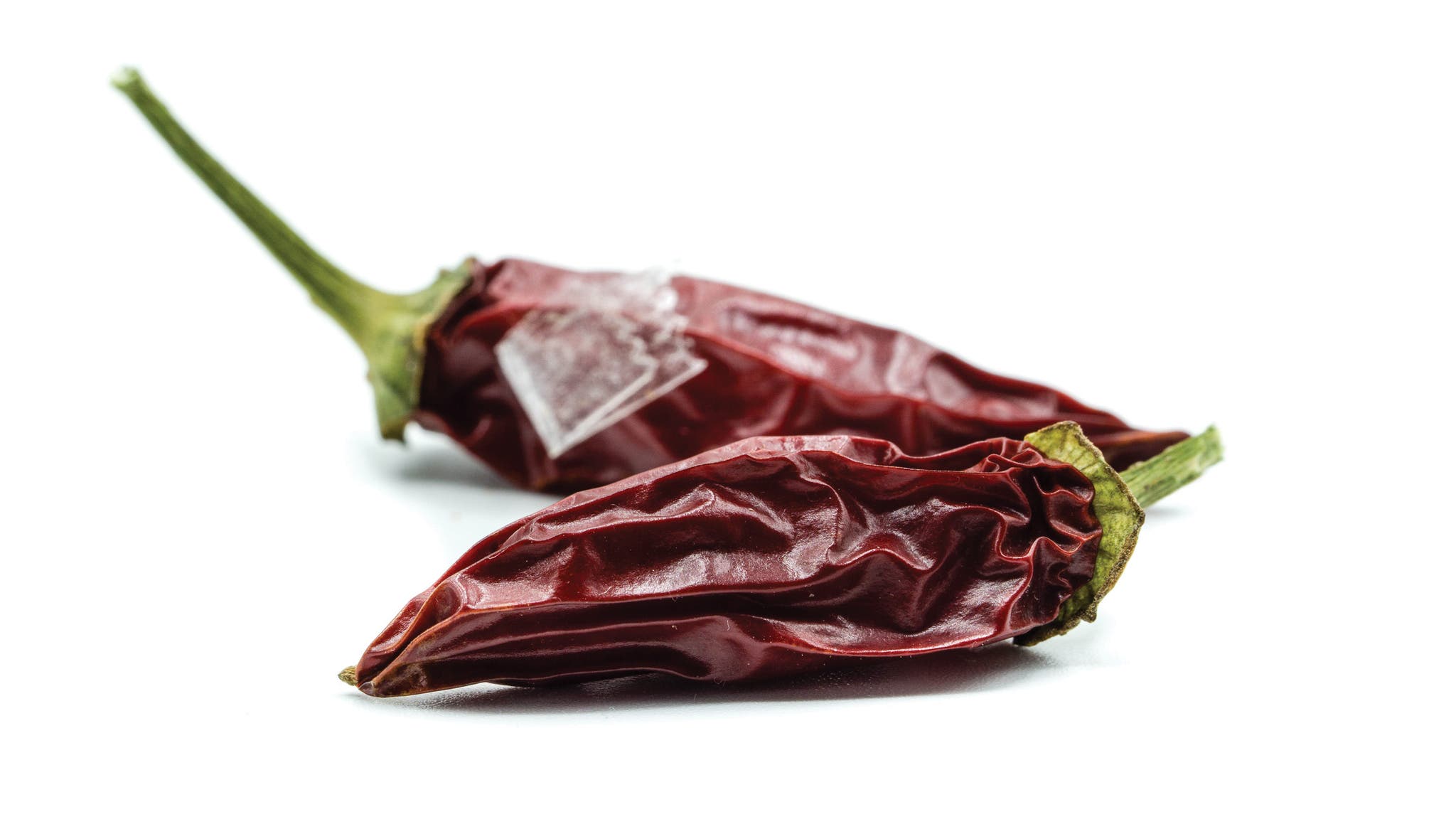 Chipotle pepper on white background