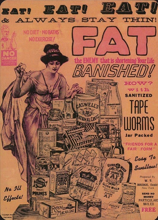 Tape Worms tapeworms tapeworm diet dieting leech parasite weight loss weightloss