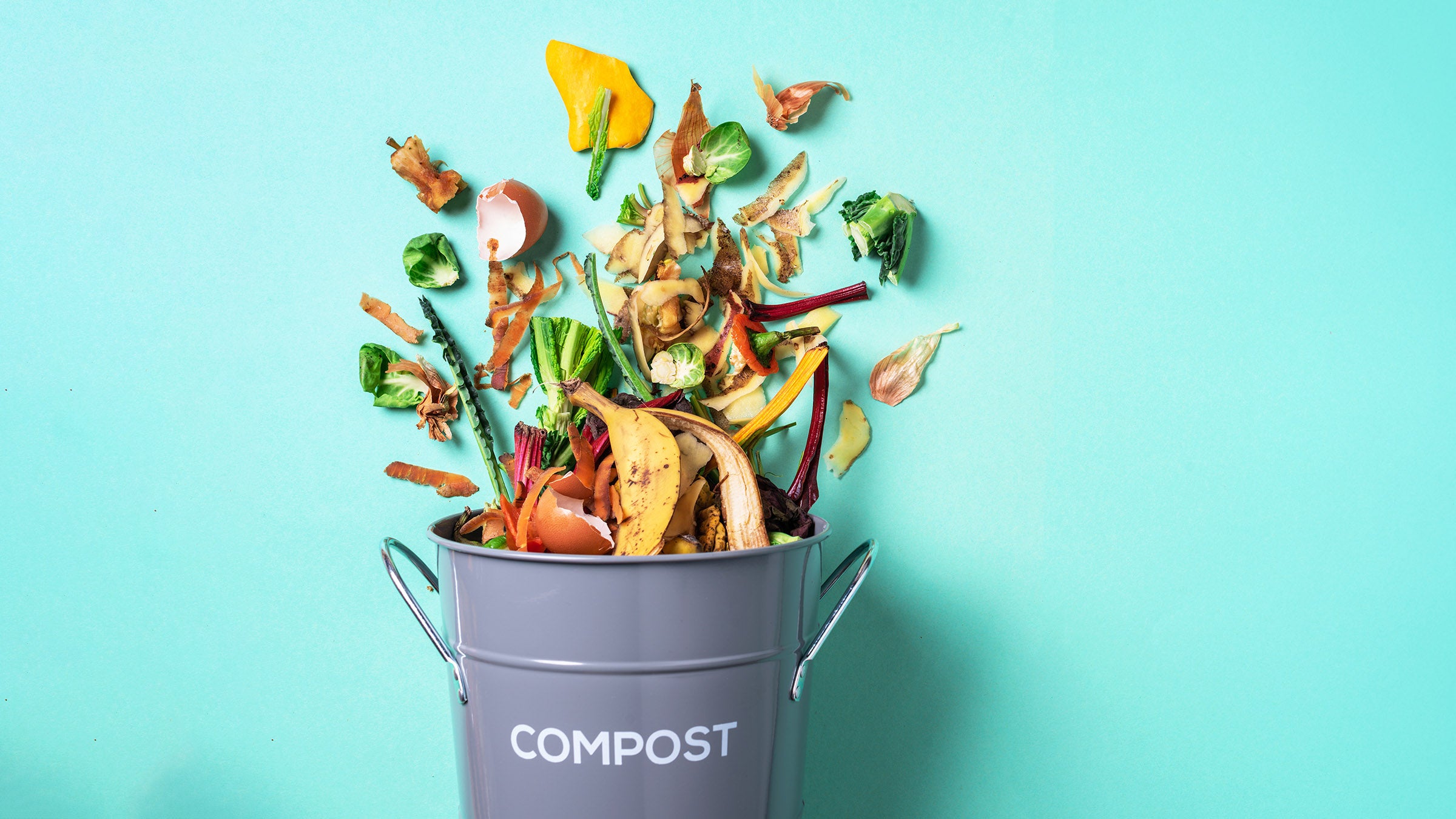 Sustainability at home: A beginner's guide to composting
