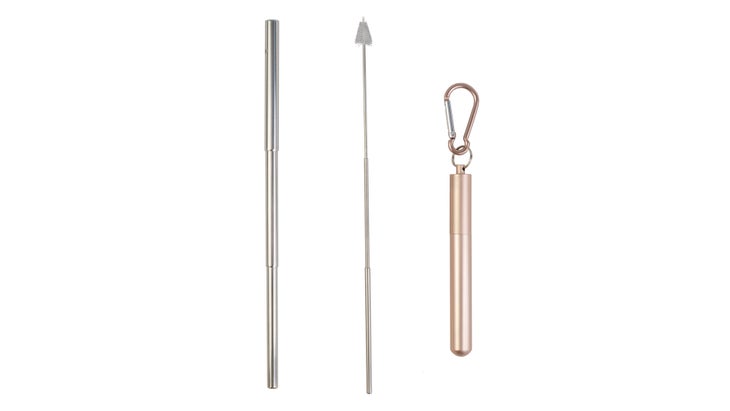 Telescopic metal straw with cleaning brush and keychain case