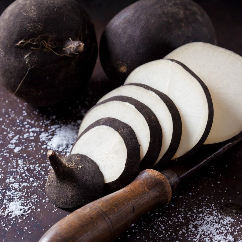 Black or Spanish Radish