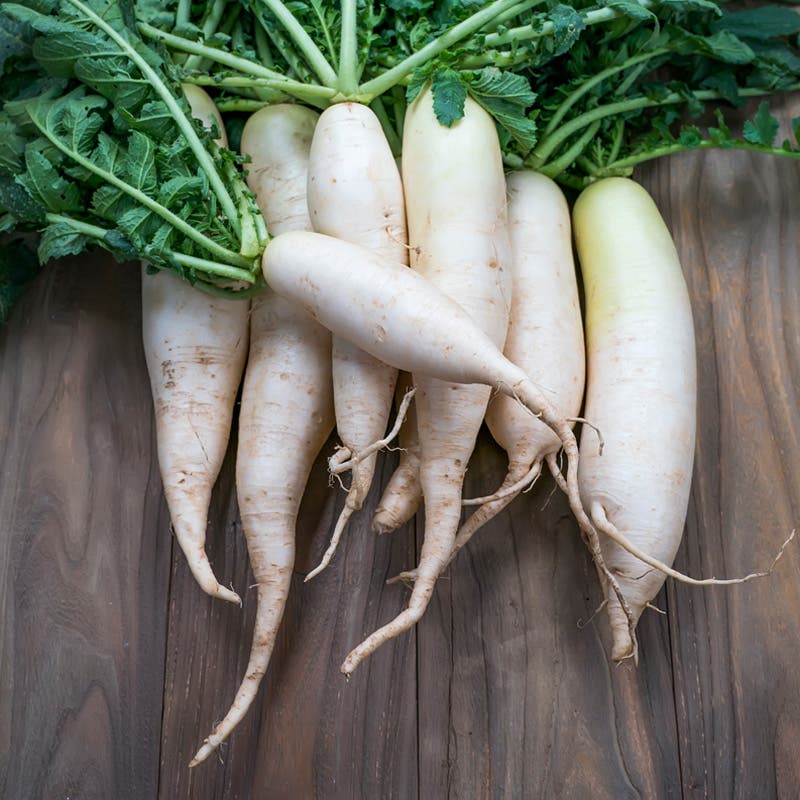 Daikon