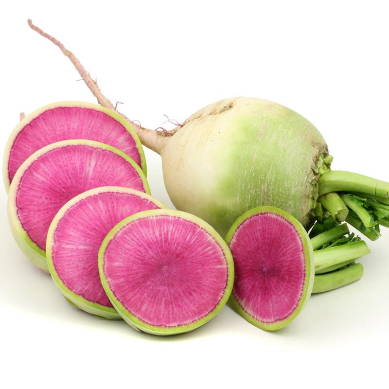 Watermelon Radish