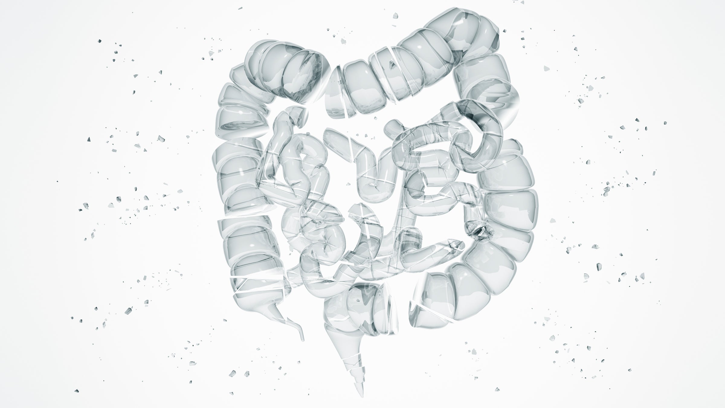 The Surprising Link Between Your Gut Bacteria and Fatty Liver Disease